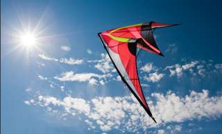 Image for the poem A Day Among the Kites