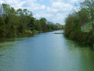 Image for the poem Bayou Lafourche