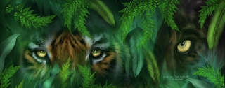 Image for the poem A Rumble in the Jungle *** colab with Poetikmind