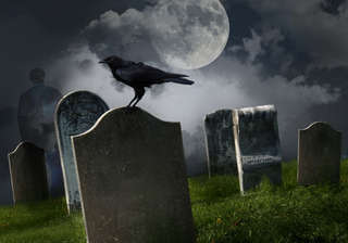 Image for the poem Graveyard Solace