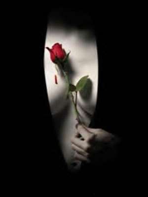 Image for the poem - - - HER ROSE, MY THORN - - -