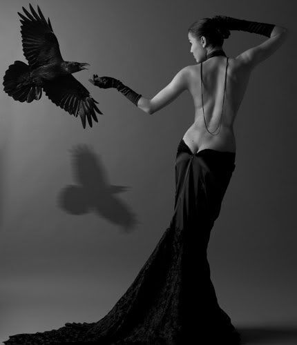 Image for the poem Raven