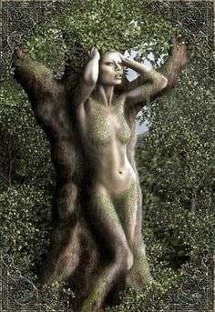 Image for the poem I, Dryad-a lamentation