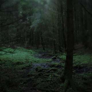 Image for the poem Dark and Dreadful Woods - Villanelle