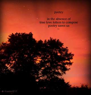 Image for the poem poetry (senryu)