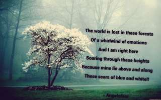 Image for the poem Blue n White 