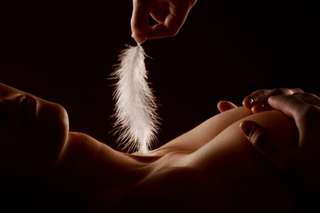 Image for the poem Feathered Touch