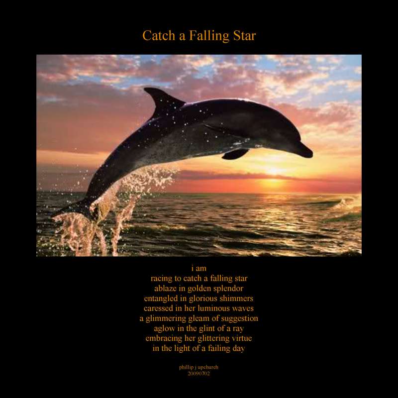 Visual Poem Catch a Falling Star