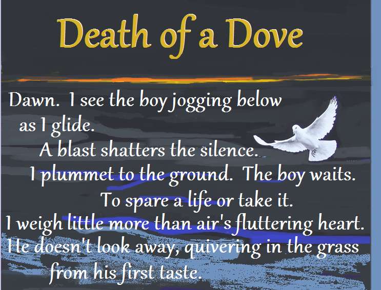 Death of a Dove