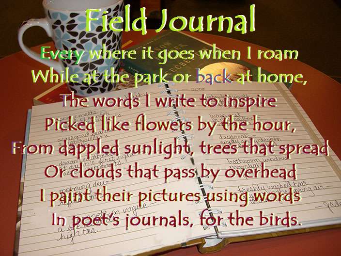 Visual Poem Field Journal