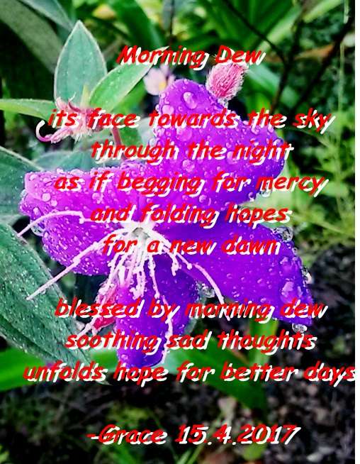 Visual Poem Morning Dew