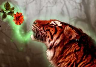 Image for the poem Tiger Spring