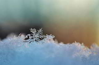 Image for the poem Snowflakes on Tongue