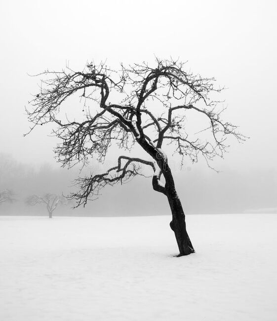 Image for the poem Sleep - Hiding From The Touch Of Death