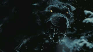 Image for the poem Wolf haunts once again...