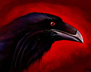 Image for the poem Raven Eyes