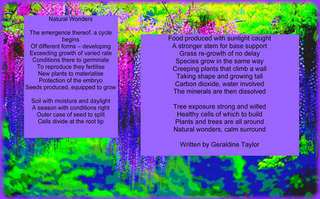 Image for the poem Natural Wonders