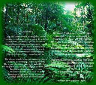 Image for the poem Our Rainforests