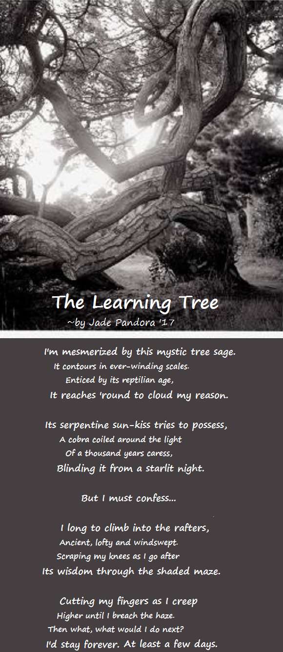 Visual Poem The Learning Tree