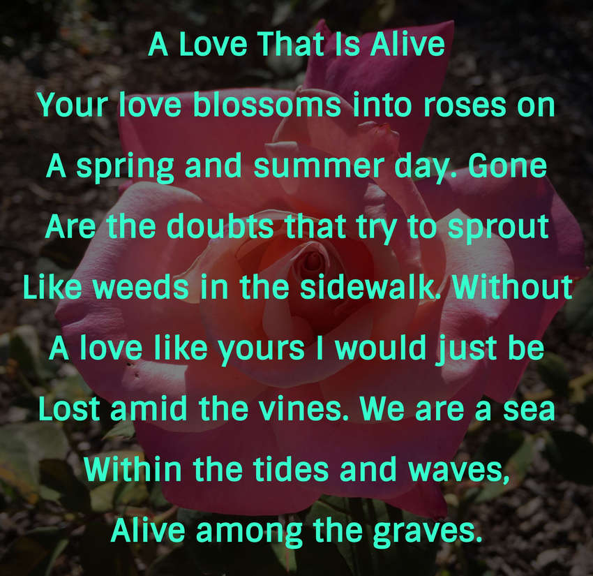 A Love That Is Alive - Visual Poem