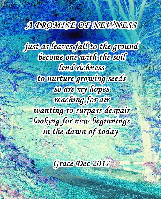 Visual Poem A PROMISE OF NEWNESS