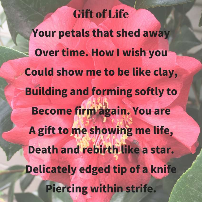 Visual Poem Gift of Life - Visual Poem