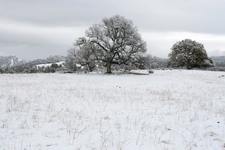 Image for the poem Farthest from the Heaven