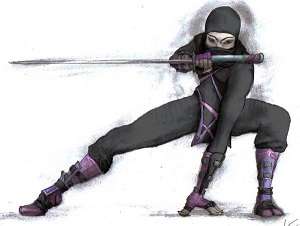 Image for the poem Ninja Night