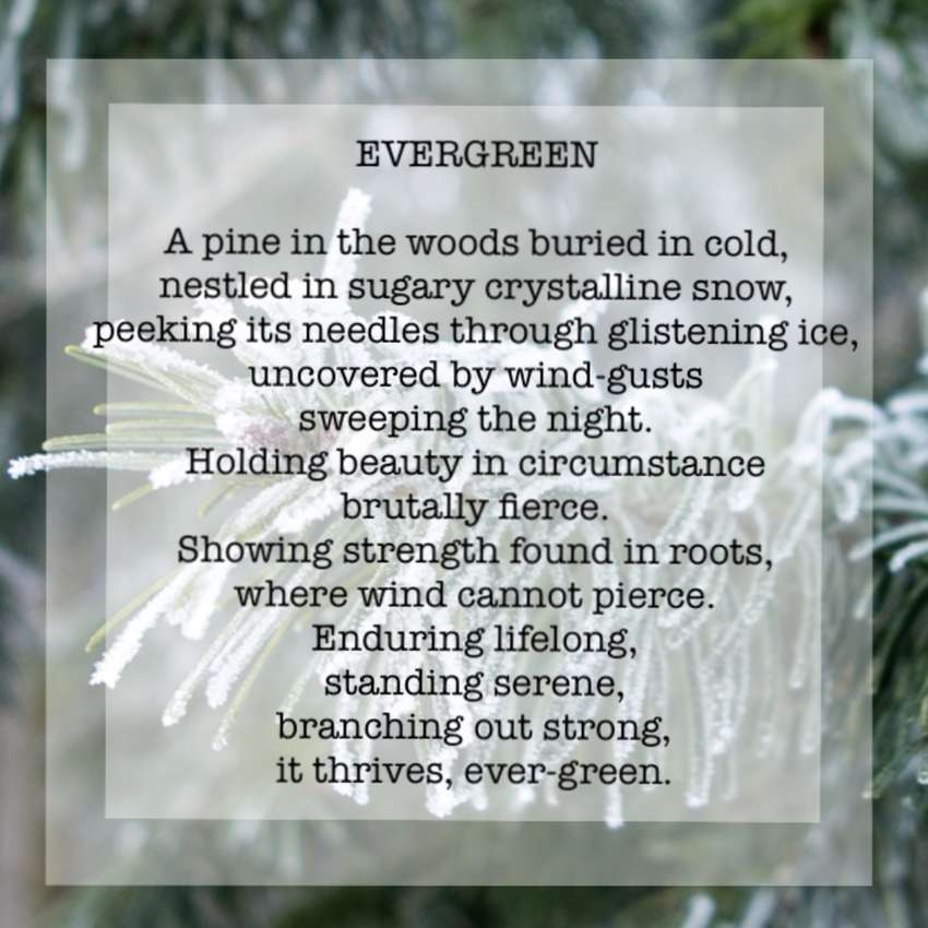 Visual Poem EVERGREEN