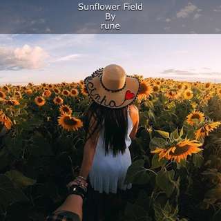 Image for the poem Sunflower Fields