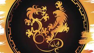 Image for the poem Yin Tiger, Yang Dragon