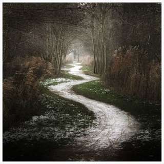 Image for the poem The Path