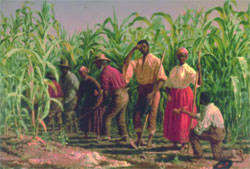 Image for the poem My Corn party