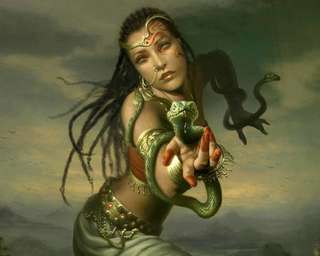 Image for the poem Sophia the Snake