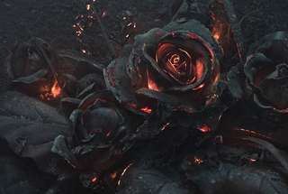 Image for the poem ROSE OF PERDITION