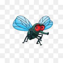 Image for the poem Antics Of A Buzzfeed Ding Housefly...