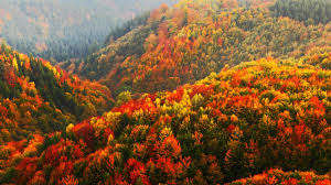 Image for the poem Autumn In The Air - Hooray