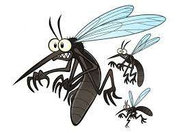 Image for the poem I Netted Mosquito Magic 