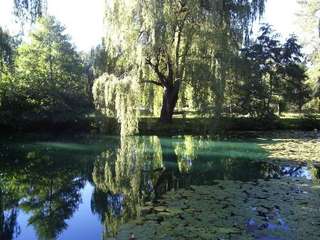 Image for the poem  Beside the pond.... (wistful)