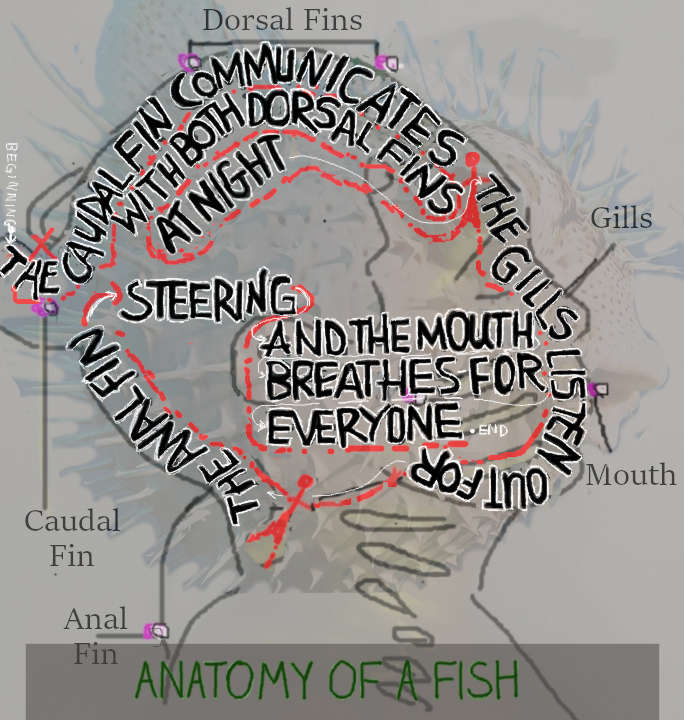 Visual Poem Fish Visual