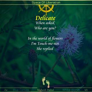 Image for the poem Delicate