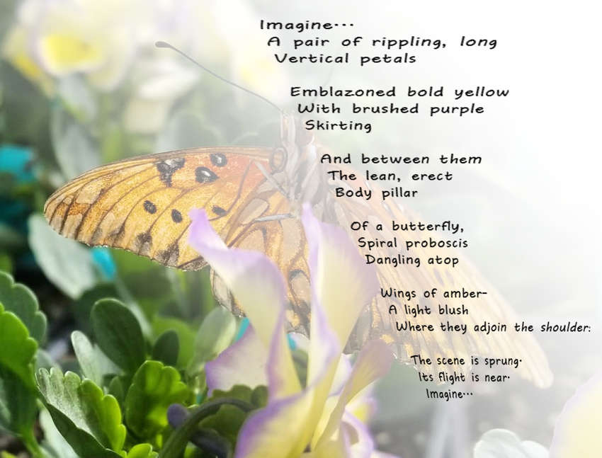 Visual Poem FLOWER GARDEN SCENE