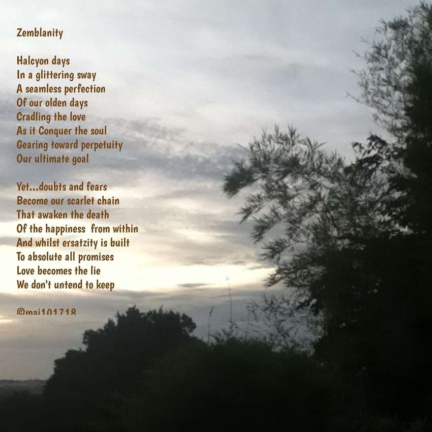 Visual Poem Zemblanity 