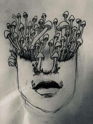 Image for the poem Infected Mushrooms