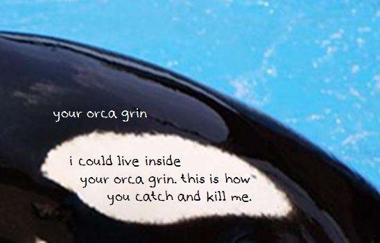 Visual Poem YOUR ORCA GRIN