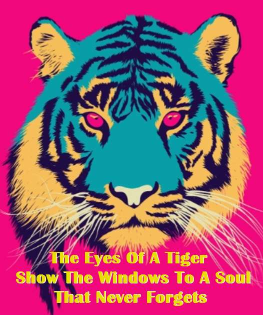 Visual Poem The Eyes Of A Tiger (visual poetry)