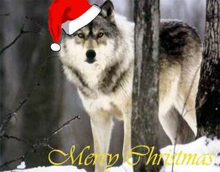 Image for the poem Merry Christmas to My friends of DU 