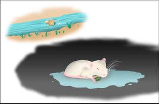 Image for the poem The Mouse And The Pea