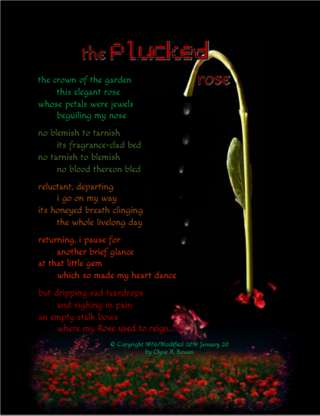 Image for the poem the plucked rose