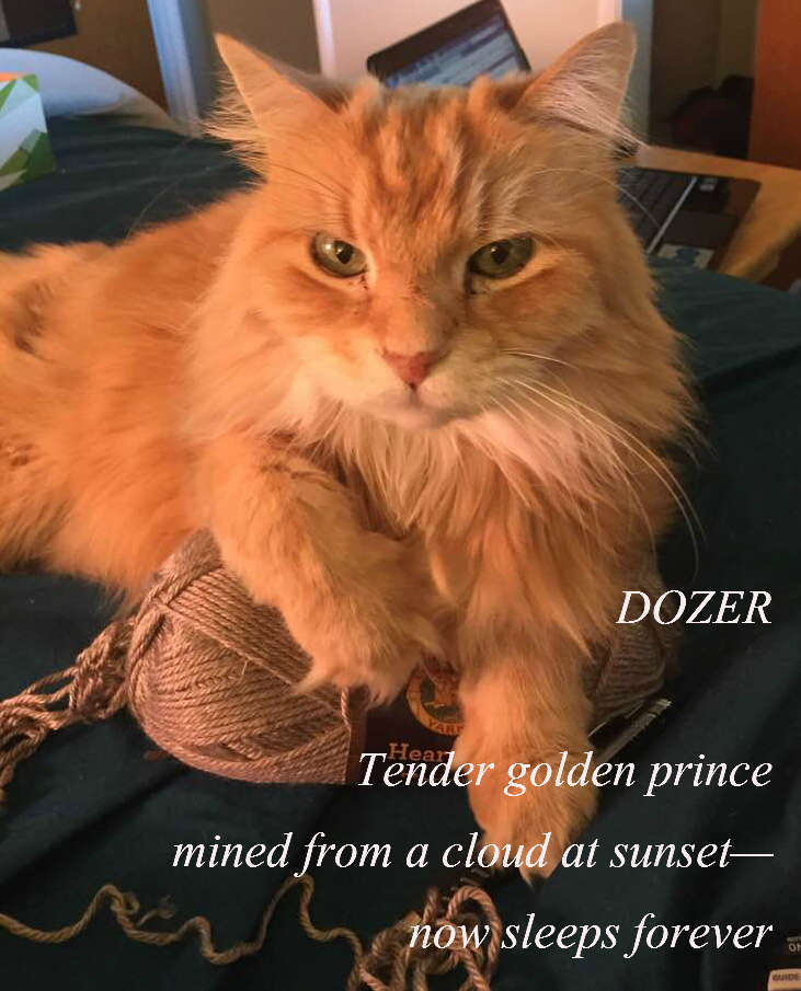 DOZER